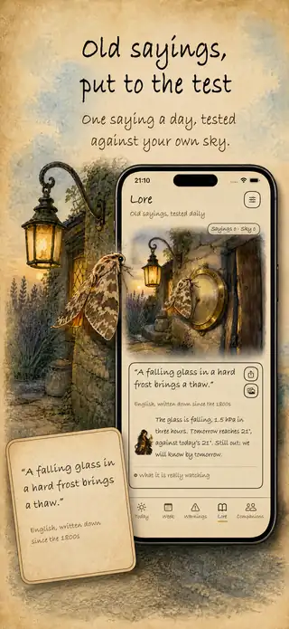 The Lore
